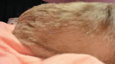 Yuna online show from 04/19/26, 06:10