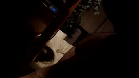 koekerdt online show from 01/31/25, 11:35