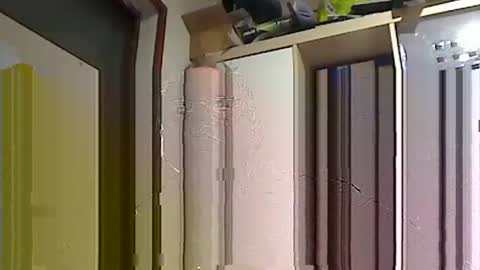 kokin3034 online show from 02/22/25, 08:40