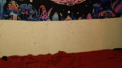 konekokawai online show from 02/12/25, 01:41