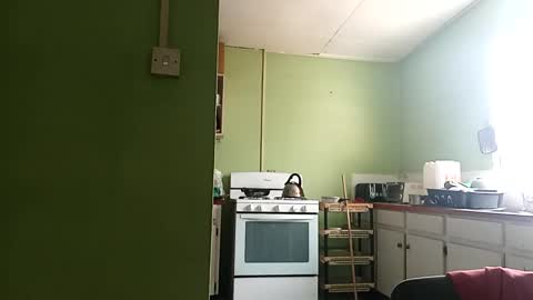 Prince makonnen  online show from 03/01/25, 01:29