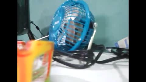 Koto Bombon online show from 12/31/24, 03:01