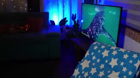 Snapshot of kozzy_ chatting on 06/18/26, 11:09 kozzy_ online show from 06/18/26, 11:09