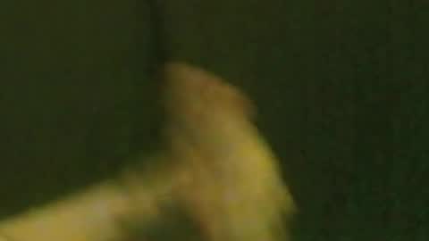 kren565656 online show from 09/21/25, 10:06