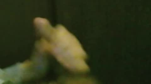 kren565656 online show from 10/20/25, 08:26