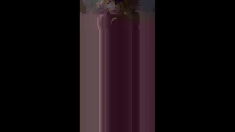 kteewilds online show from 03/20/26, 11:04