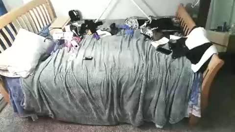 Snapshot of kulinky6969 chatting on 12/15/25, 11:58 kulinky6969 online show from 12/15/25, 11:58