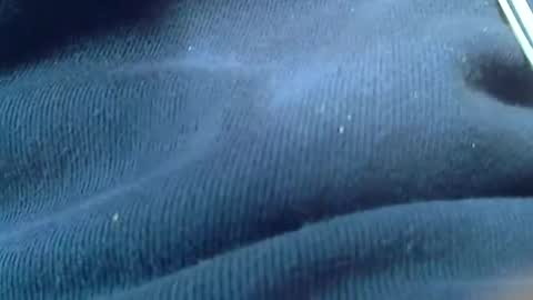 kunio37 online show from 01/04/25, 01:42