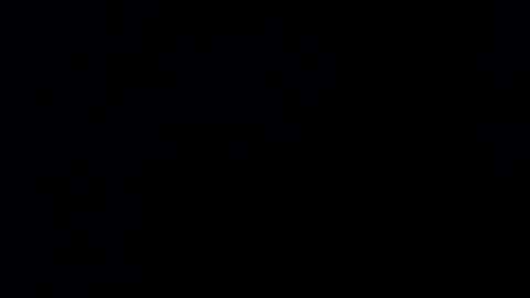 Snapshot of kvicali chatting on 12/19/24, 11:14 kvicali online show from 12/19/24, 11:14