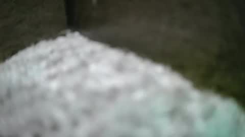 kvicali online show from 04/06/26, 01:36