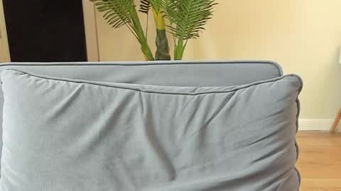 Snapshot of kyle_4u chatting on 11/05/25, 12:16 Kyle online show from 11/05/25, 12:16