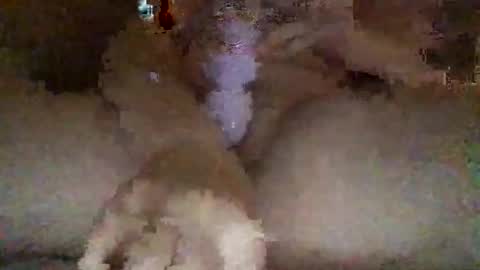 kylie online show from 02/27/26, 03:06