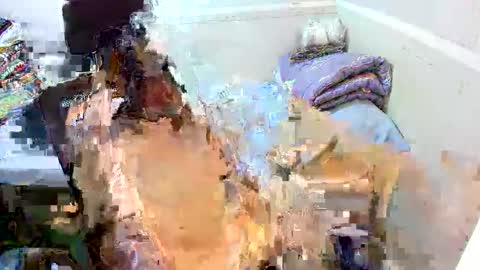 Eynah online show from 09/11/25, 04:56