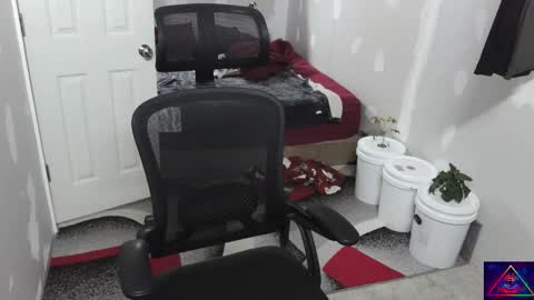 l1v1nth3dr3am online show from 11/10/25, 09:41