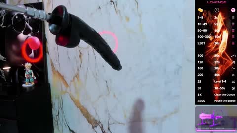 AMAZONA  online show from 01/08/26, 07:27