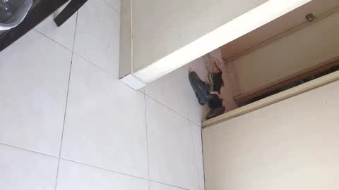 Bruno Smith online show from 12/20/25, 06:04