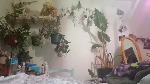 Snapshot of lacybell chatting on 12/24/24, 06:44 lacybell online show from 12/24/24, 06:44