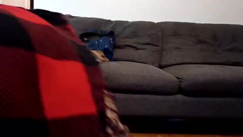 Snapshot of lacybell chatting on 02/07/25, 10:40 lacybell online show from 02/07/25, 10:40