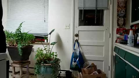 Snapshot of lacybell chatting on 02/15/25, 05:19 lacybell online show from 02/15/25, 05:19