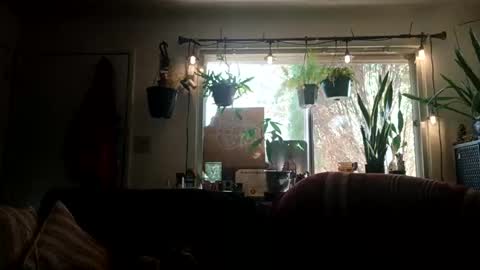 Snapshot of lacybell chatting on 09/21/25, 10:11 lacybell online show from 09/21/25, 10:11