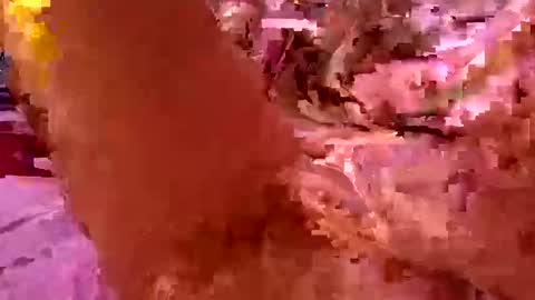 lady24x online show from 05/03/26, 03:07
