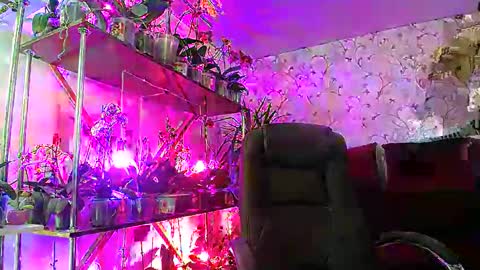 Lady Gloria online show from 02/22/25, 08:40