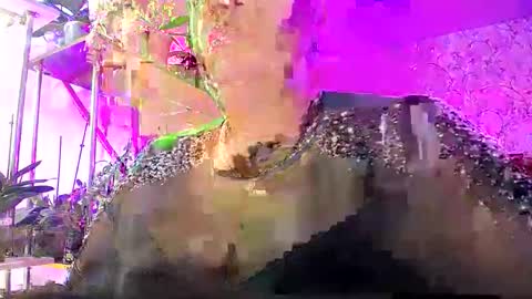 Lady Gloria online show from 10/25/25, 07:38