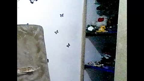 ladydeathz online show from 12/15/24, 04:37