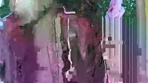 LadyXSnakes online show from 09/21/25, 04:03