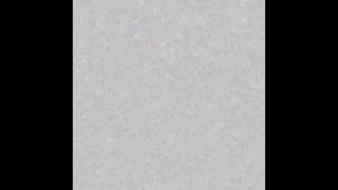  paola and a guest lol    online show from 11/13/25, 09:30