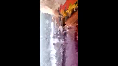 laia_hadid online show from 02/16/26, 03:19