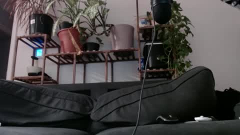 Rick online show from 12/11/24, 08:26