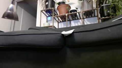 Rick online show from 12/23/24, 04:33