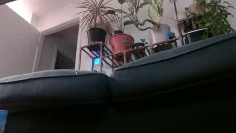 Rick online show from 02/01/25, 03:08