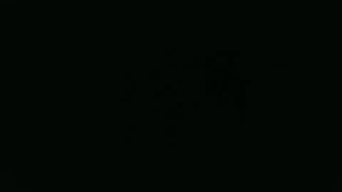 ANNIE online show from 01/12/26, 12:54