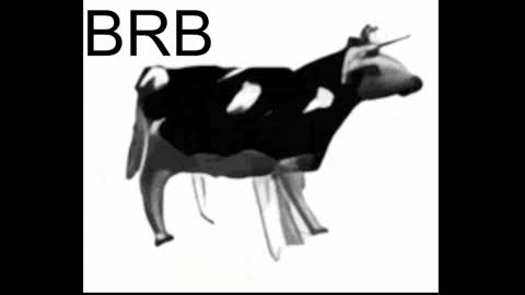 just call me Lana  and her security online show from 01/17/25, 05:19