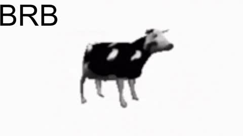 just call me Lana  and her security online show from 01/25/25, 05:19