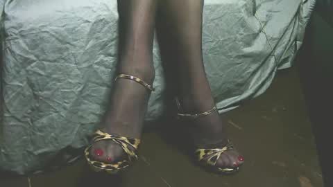 lana_legs53 online show from 04/19/26, 05:51