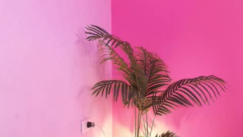 LANA online show from 01/18/26, 02:59