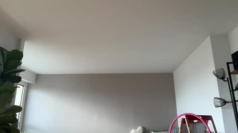 Lanimal online show from 10/27/25, 08:51