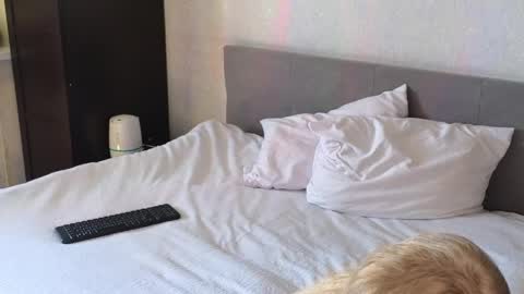 LarineGMT7  UTC6  online show from 04/11/26, 07:35