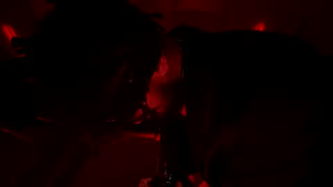 latex__buddy online show from 03/03/26, 10:43