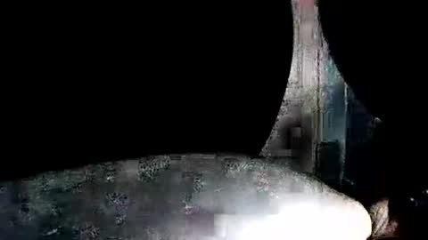 latexchris77 online show from 01/07/26, 07:55