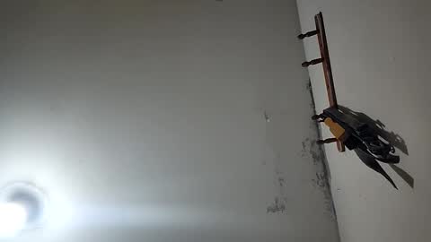 CHARLES ROBERT online show from 12/20/25, 03:30