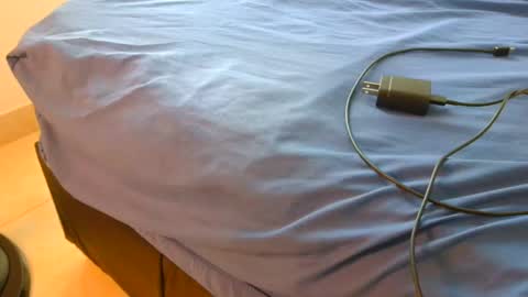 blackBear online show from 11/16/25, 01:28