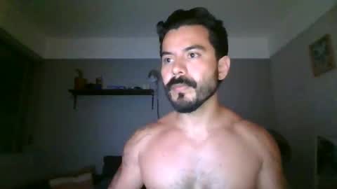 wolves online show from 04/22/26, 02:14