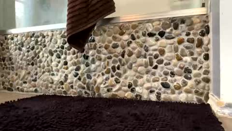 latinlover199518 online show from 04/16/26, 01:23