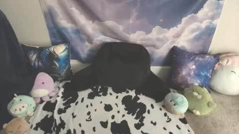 LauraChan online show from 03/09/26, 01:20