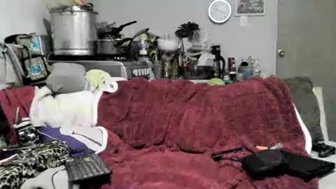 lauradecuada2 online show from 02/08/26, 04:38