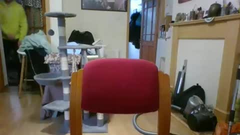 lauratedomm online show from 03/08/26, 04:00